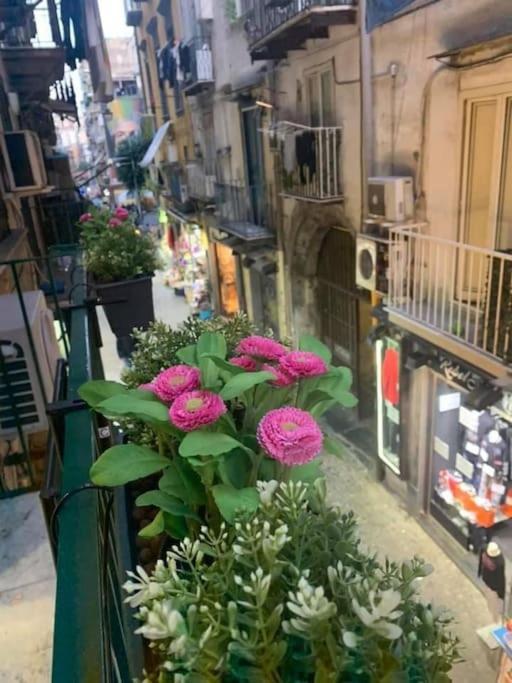 La Casa Di Patta A Spaccanapoli Exterior foto